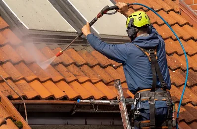 Démoussage et hydrofuge de toiture à Hosta
